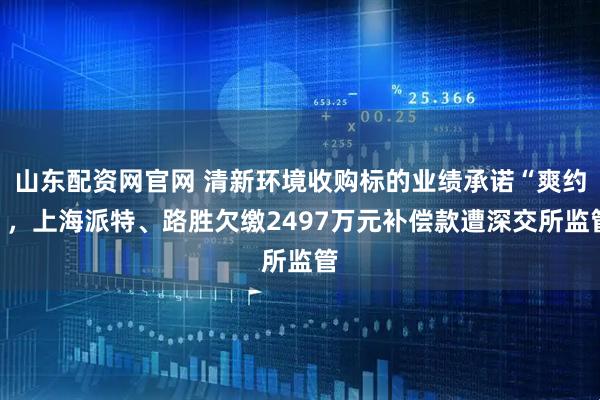 山东配资网官网 清新环境收购标的业绩承诺“爽约”，上海派特、路胜欠缴2497万元补偿款遭深交所监管