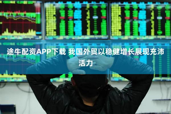 途牛配资APP下载 我国外贸以稳健增长展现充沛活力