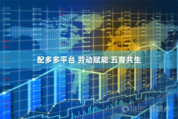 配多多平台 劳动赋能 五育共生