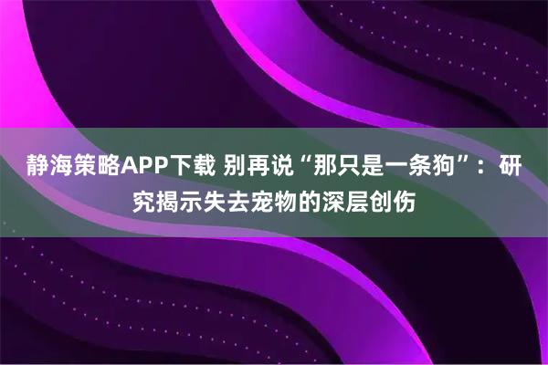 静海策略APP下载 别再说“那只是一条狗”：研究揭示失去宠物的深层创伤