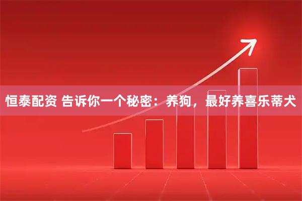 恒泰配资 告诉你一个秘密：养狗，最好养喜乐蒂犬